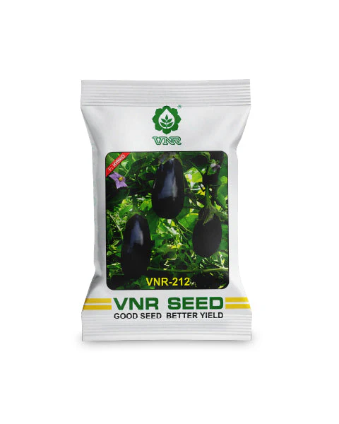 VNR 212 Brinjal Seeds - F1 Hybrid, High Yield & Premium Quality