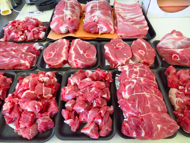 Ovine (Sheep/Lamb)